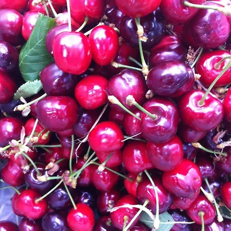 Fortezza Bed & Breakfast 3*