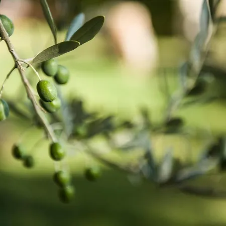 Fortezza Bed & Breakfast Ascoli Piceno