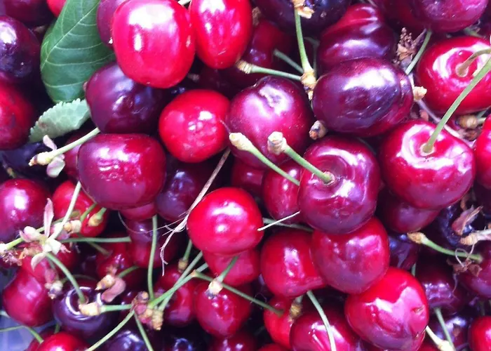 Fortezza Bed & Breakfast 3*