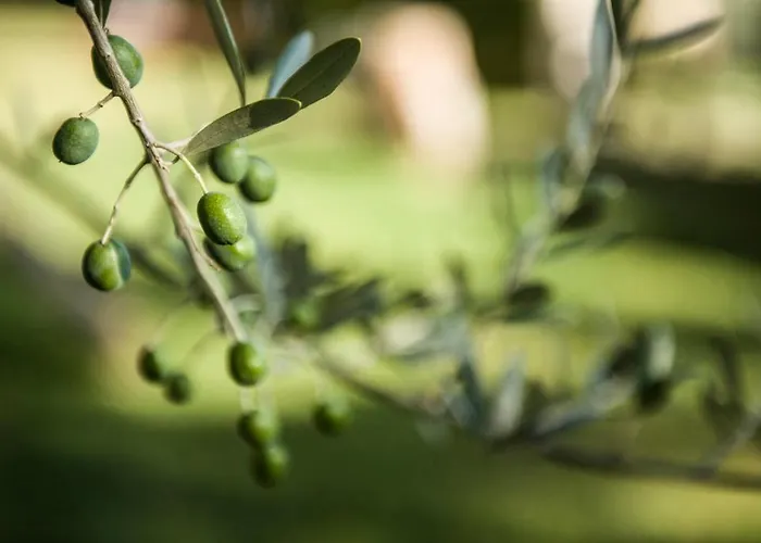 Fortezza Bed & Breakfast Ascoli Piceno